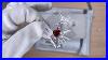 Xship Vn Megan Walford Sterling Silver Clear And Red Cubic Zirconia Heart Necklace Jskvm3205 R